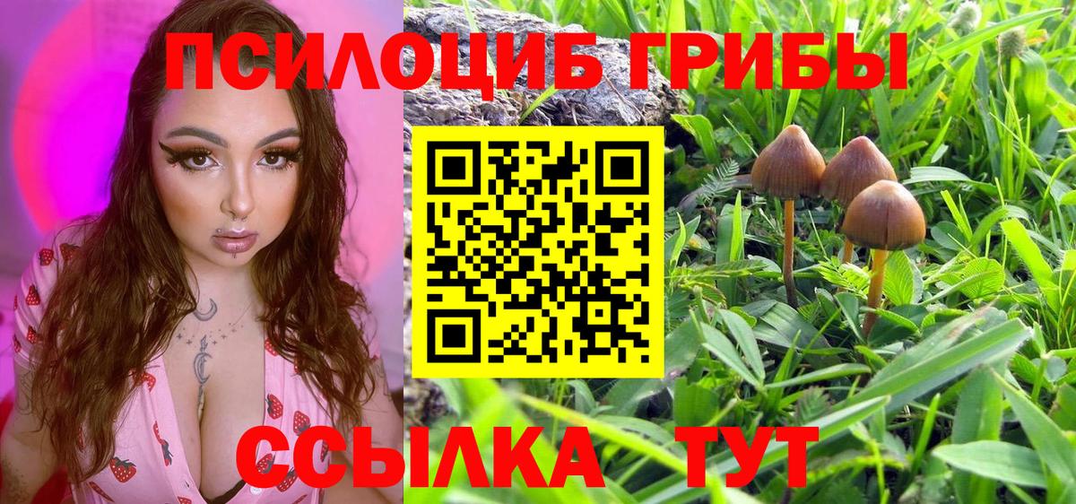 Псилоцибиновые грибы Psilocybine cubensis Туймазы