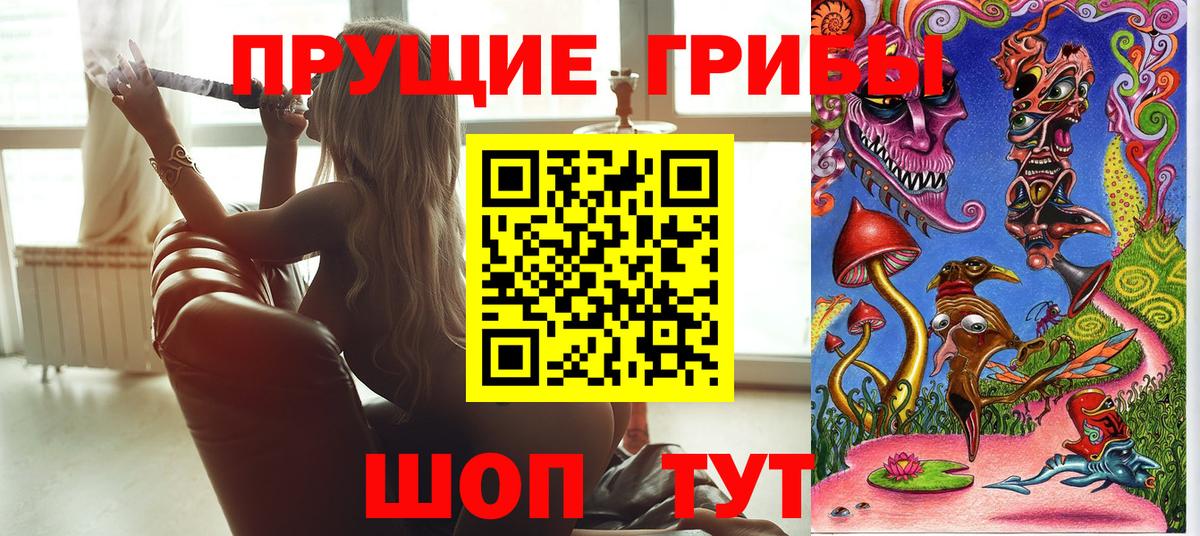 Псилоцибиновые грибы Psilocybine cubensis  Вход с VPN  Туймазы 